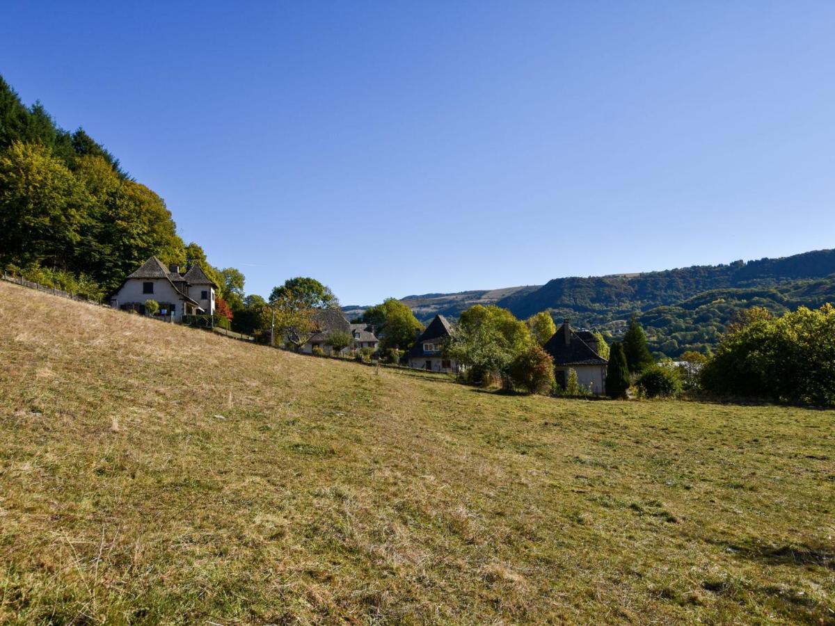 Beautiful Villa In The Parc Des Volcans D Auvergne Vic-sur-Cère Εξωτερικό φωτογραφία
