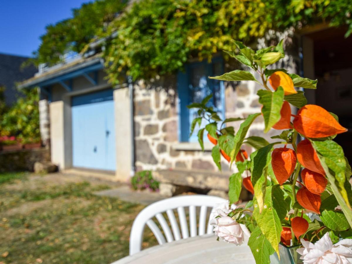 Beautiful Villa In The Parc Des Volcans D Auvergne Vic-sur-Cère Εξωτερικό φωτογραφία